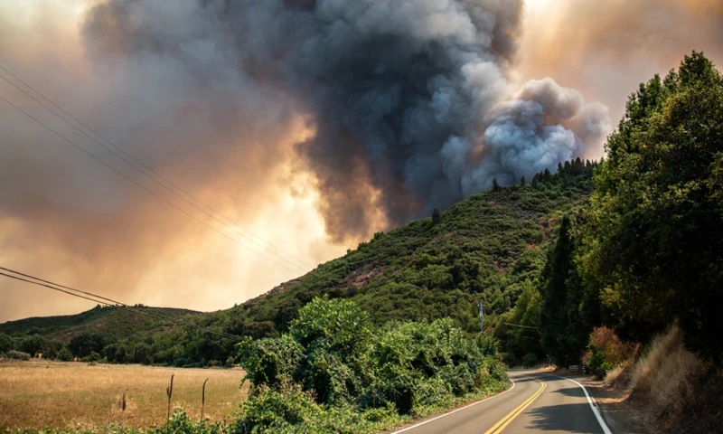 2. Interprétation Des Rêves D'Incendie Selon Les Situations