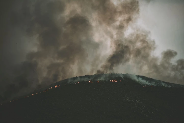 Interprétation Des Rêves De La Fin Du Monde