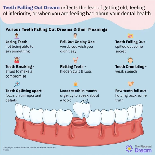 Explication Des Rêves De Dents Selon Les Situations