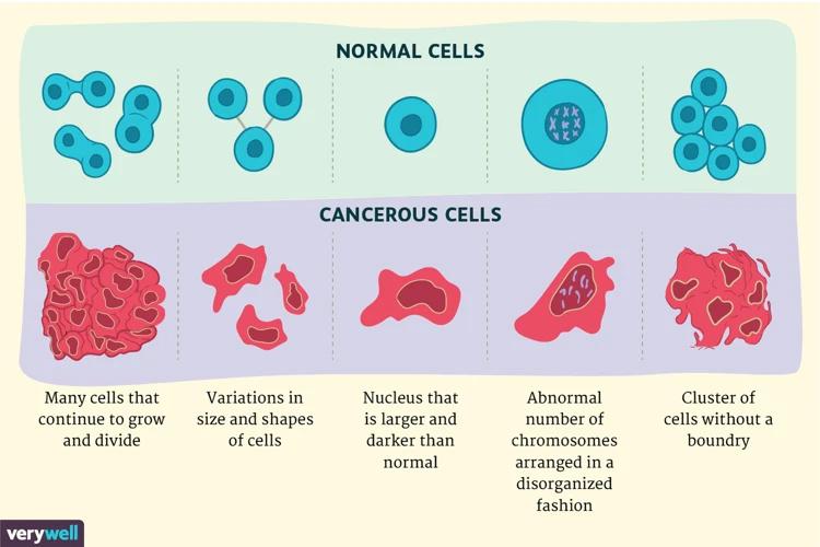 Signification Selon Les Types De Cancer