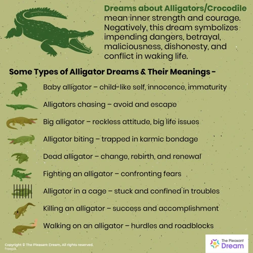 Le Crocodile Dans Les Rêves : Signification