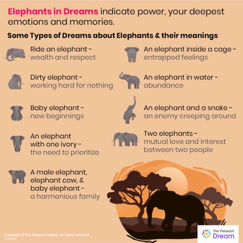 Les Différents Rêves D'Éléphant