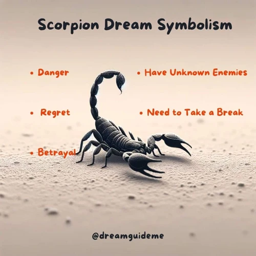 Les Différents Types De Rêves De Scorpion