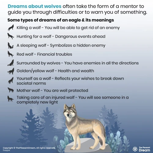 Les Différents Types De Rêves De Loups