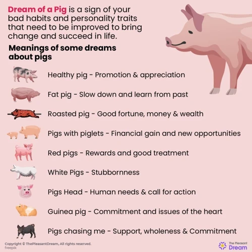 Les Significations Des Rêves Cochons