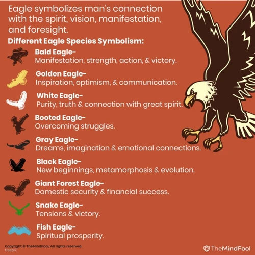 Le Symbolisme De L'Aigle